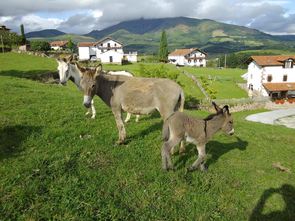 Casa Rural Petisansenea II Zuaztoy de Azpilcueta Exterior foto