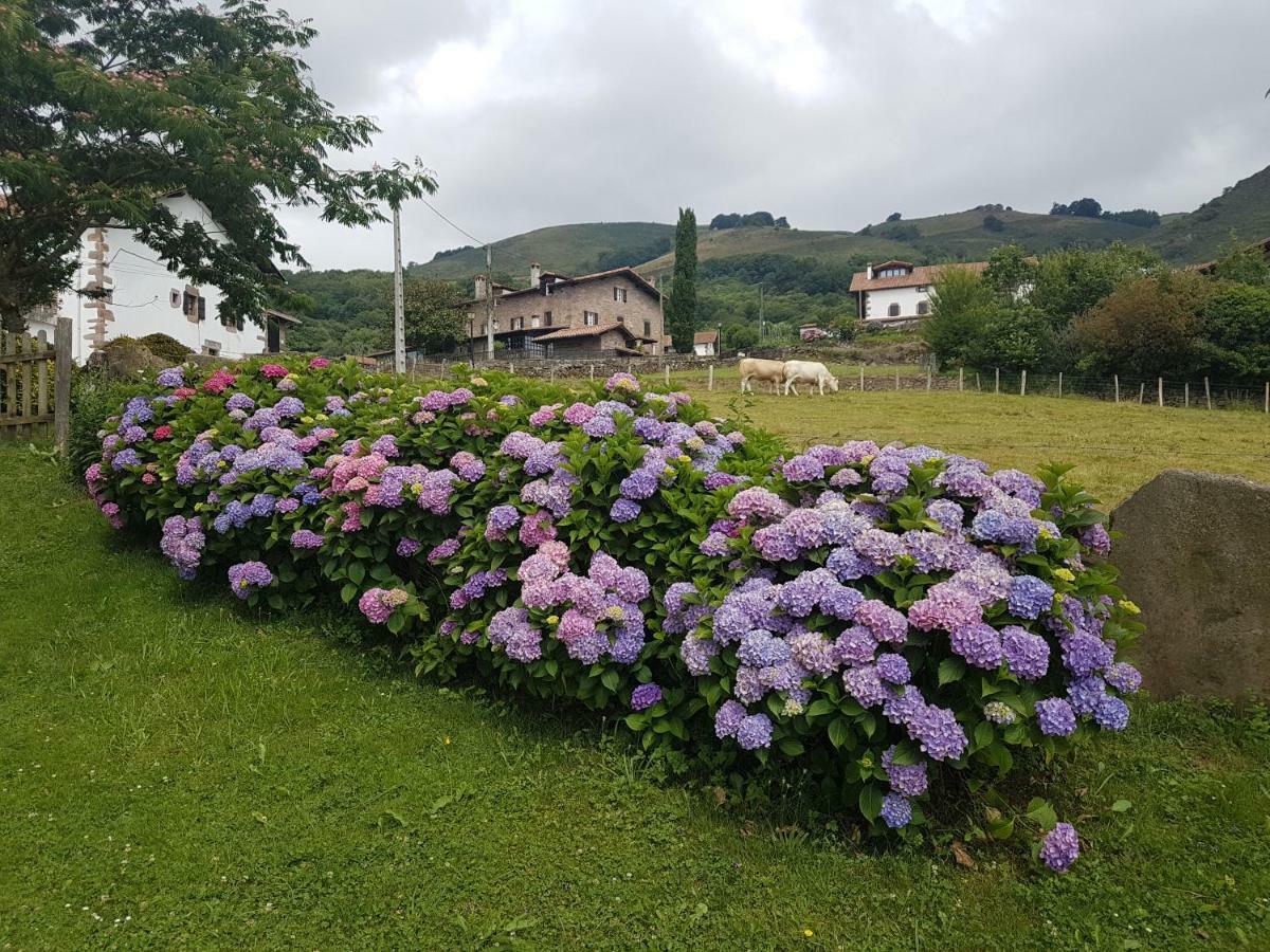 Casa Rural Petisansenea II Zuaztoy de Azpilcueta Exterior foto