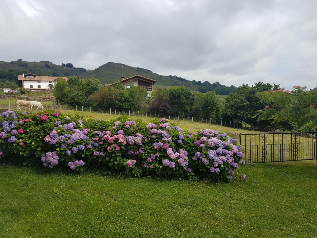 Casa Rural Petisansenea II Zuaztoy de Azpilcueta Exterior foto